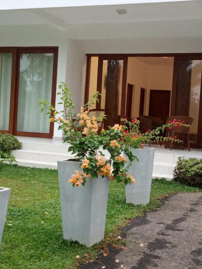 Colibri Villa Maggona Екстериор снимка